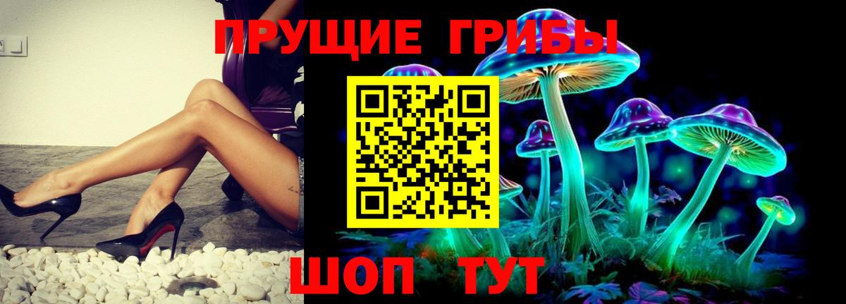 Псилоцибиновые грибы Cubensis Салехард